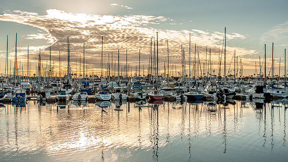 Whalen-080102-1157