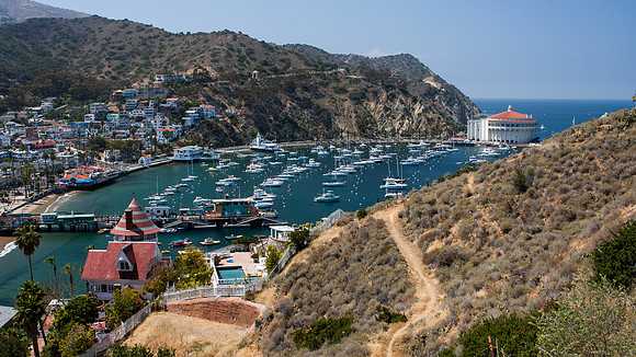 Whalen-090510-1381