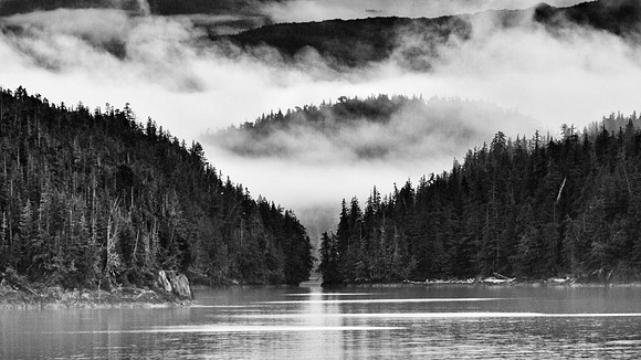 Whalen-090716-1446-1
