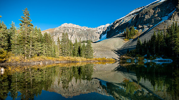 Whalen-110925-2526
