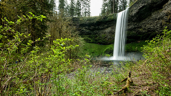 Whalen-120428-2947-2