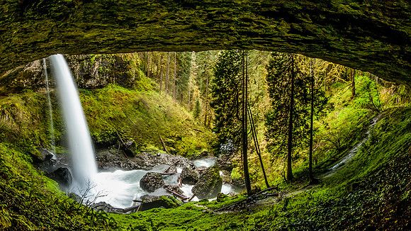 Whalen-120429-2983